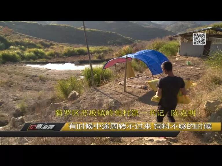 苏坂镇：两年达村级脱贫，驻村书记陈克明把初心写在岭兜的土地上