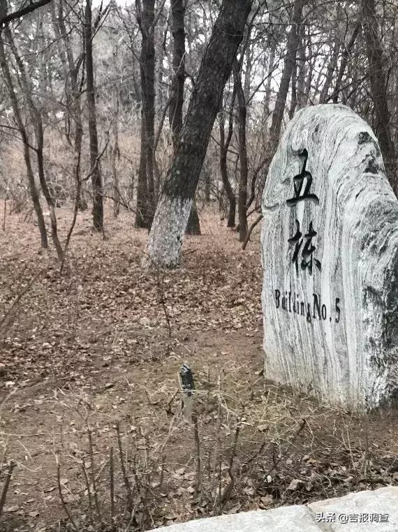 长春南湖宾馆攻略,长春南湖观景酒店