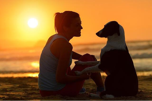 狗狗一生最想做的8件事,这25件小事狗狗最希望主人知道