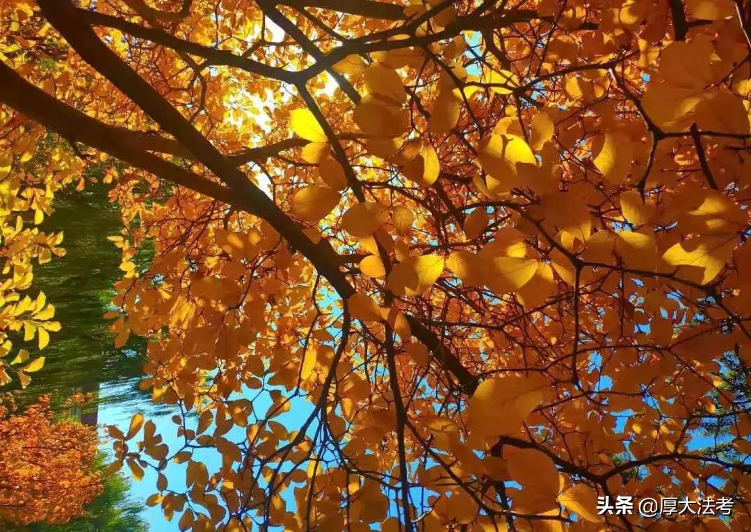 列举罗翔讲的刑法,罗翔讲刑法感动案件