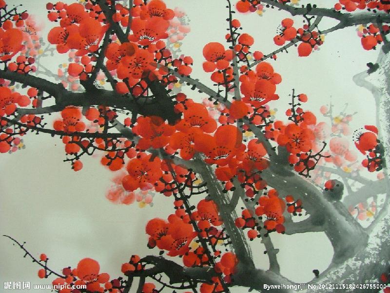 梅花香自苦寒来人生感悟,梅花香自苦寒来视频