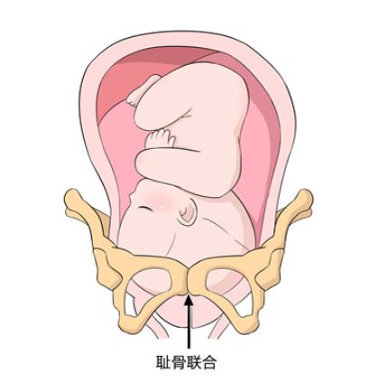 孕晚期心里难受怎么办,孕晚期腰疼痛难忍没人理解