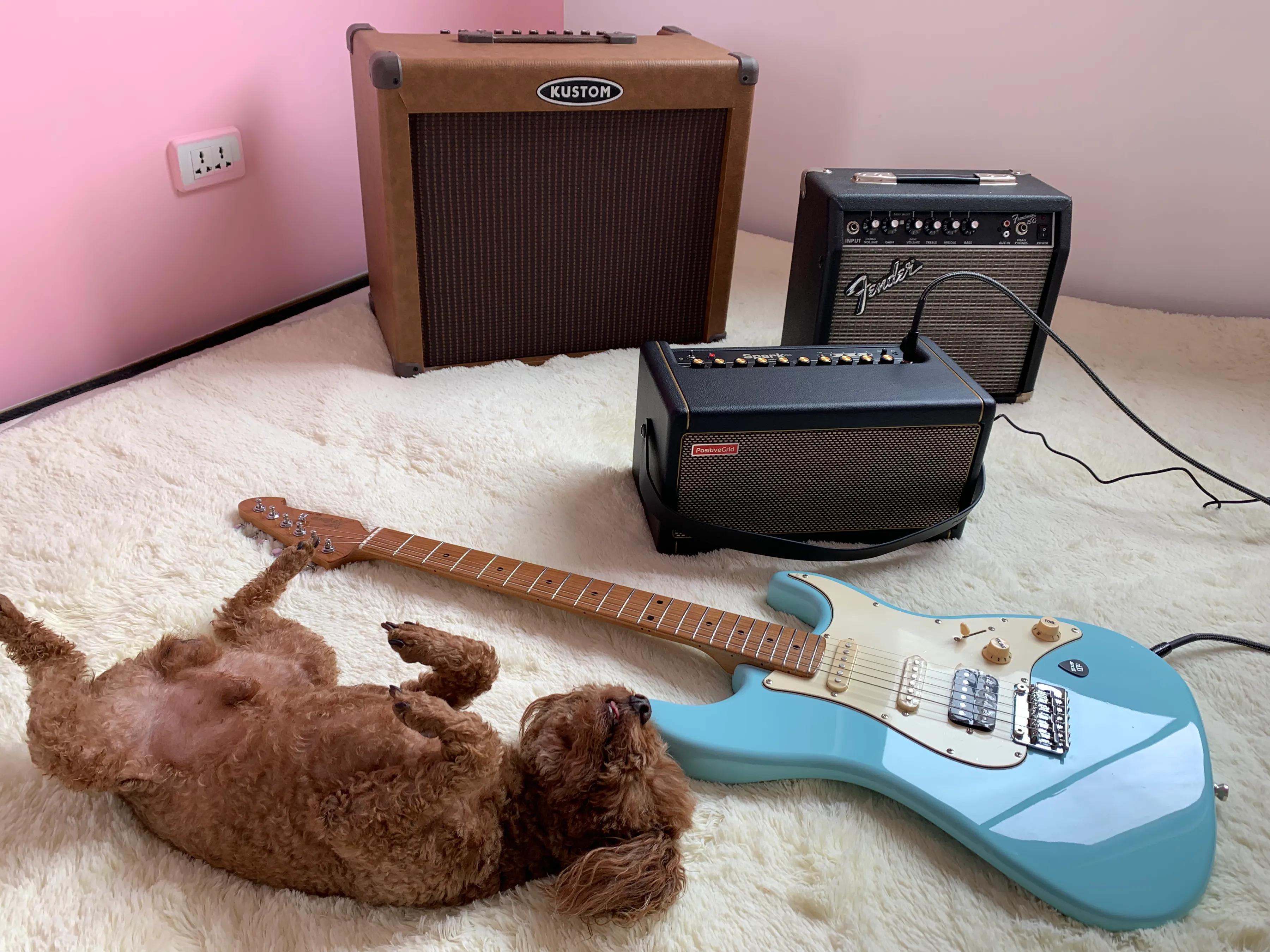 那些年我买过的没用的奢侈品,那些年我买过的表