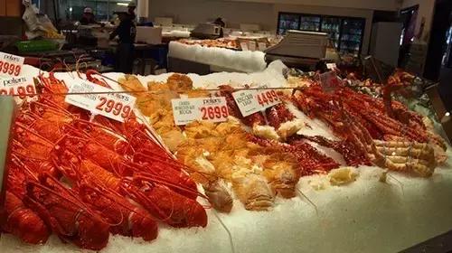 世界著名建筑悉尼歌剧院,悉尼歌剧院著名演出