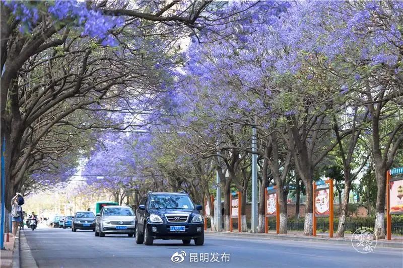 昆明官渡为什么最有潜力,中国最具投资潜力百强名单排名
