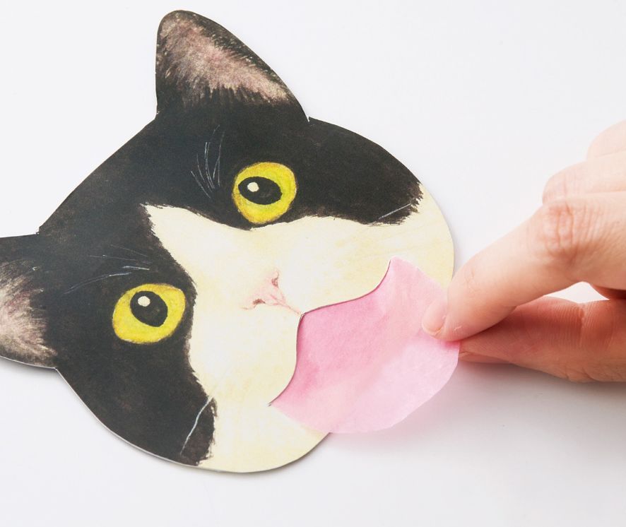 日本人又来骗猫奴们的钱啦!但我心甘情愿掏钱了!