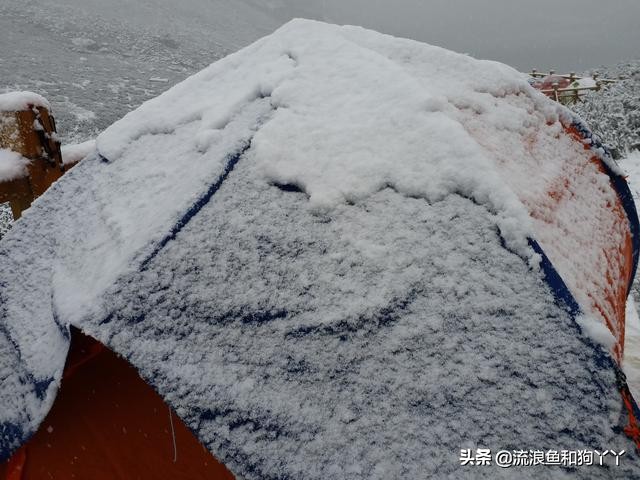 年保玉则现在开放了吗,年保玉则为啥被封