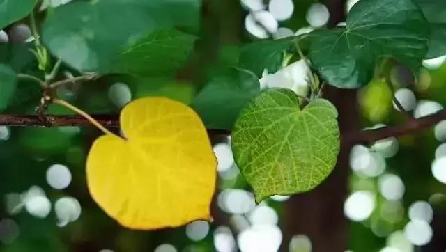 你的微信名暴露了你的层次,你的微信昵称暴露了你的社会阶层