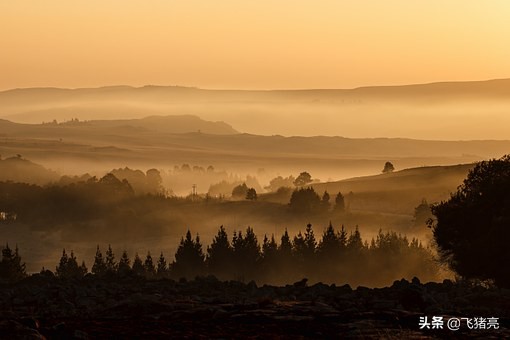 直通车运营本质有哪些,直通车拉搜索流量本质