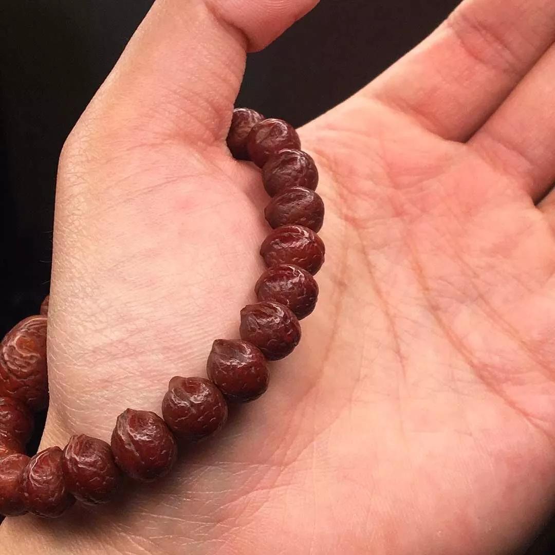 巧克力色的凤眼能盘成牛津红吗,为什么有的凤眼盘不红