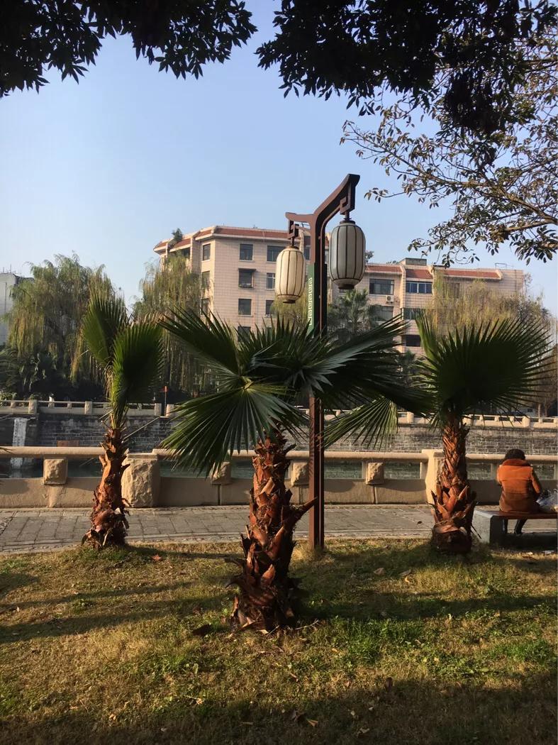 制度流程和机制的区别,完善的管理制度意味着什么