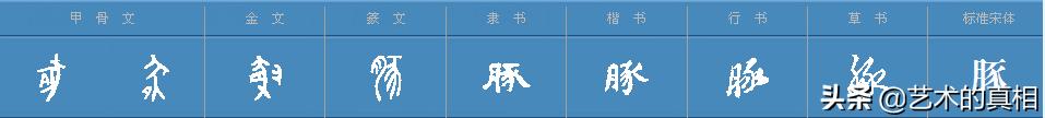 古人造字如画画，“龙、虎、猪、狗、牛、羊”六个属相汉字的由来
