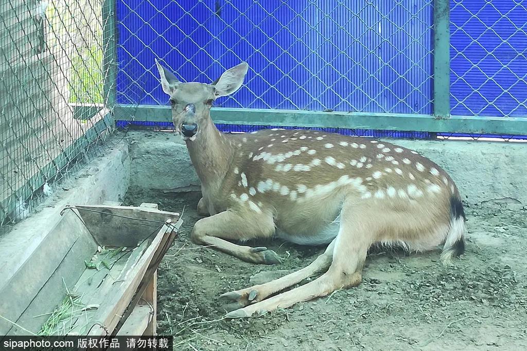 门票0元却少有人去，北京这个明朝皇家饲养场四季皆是景！