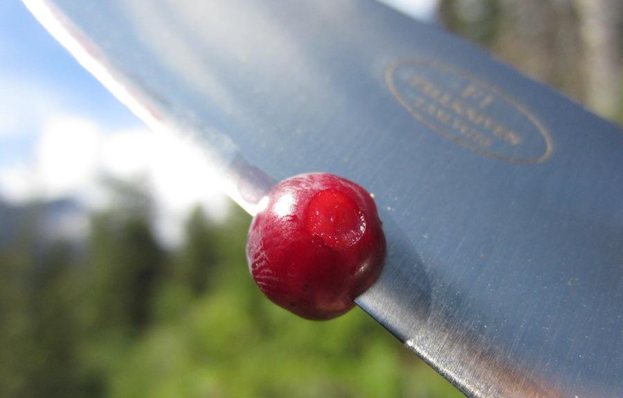 世界上最好的钢材排名,户外刀具最好的钢材