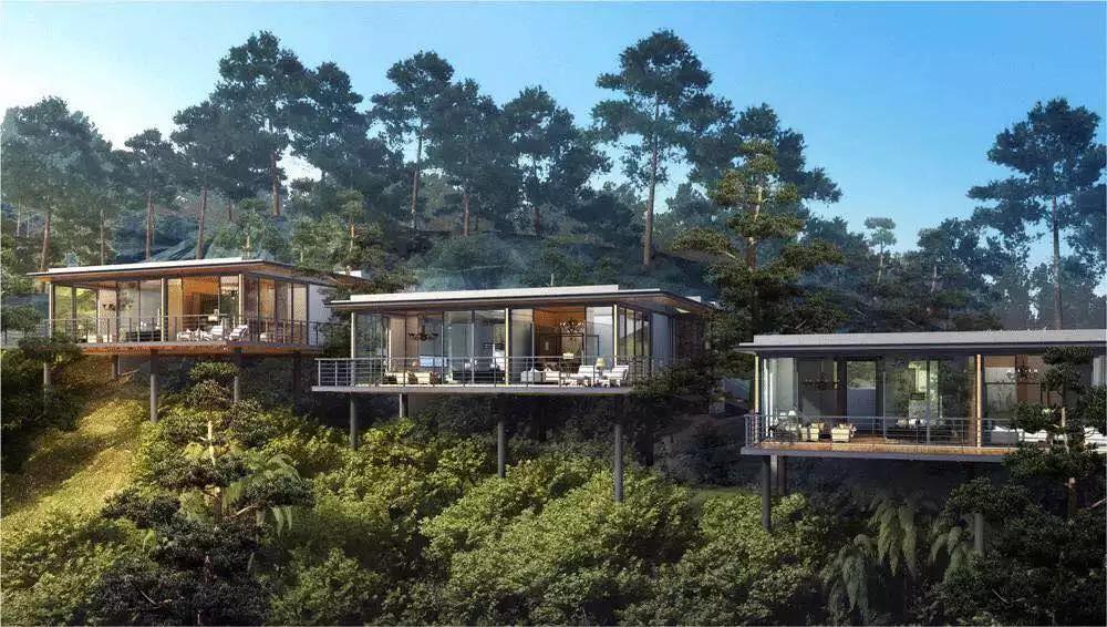 绿城桃花源里庭院探秘,绿城第10座桃花源