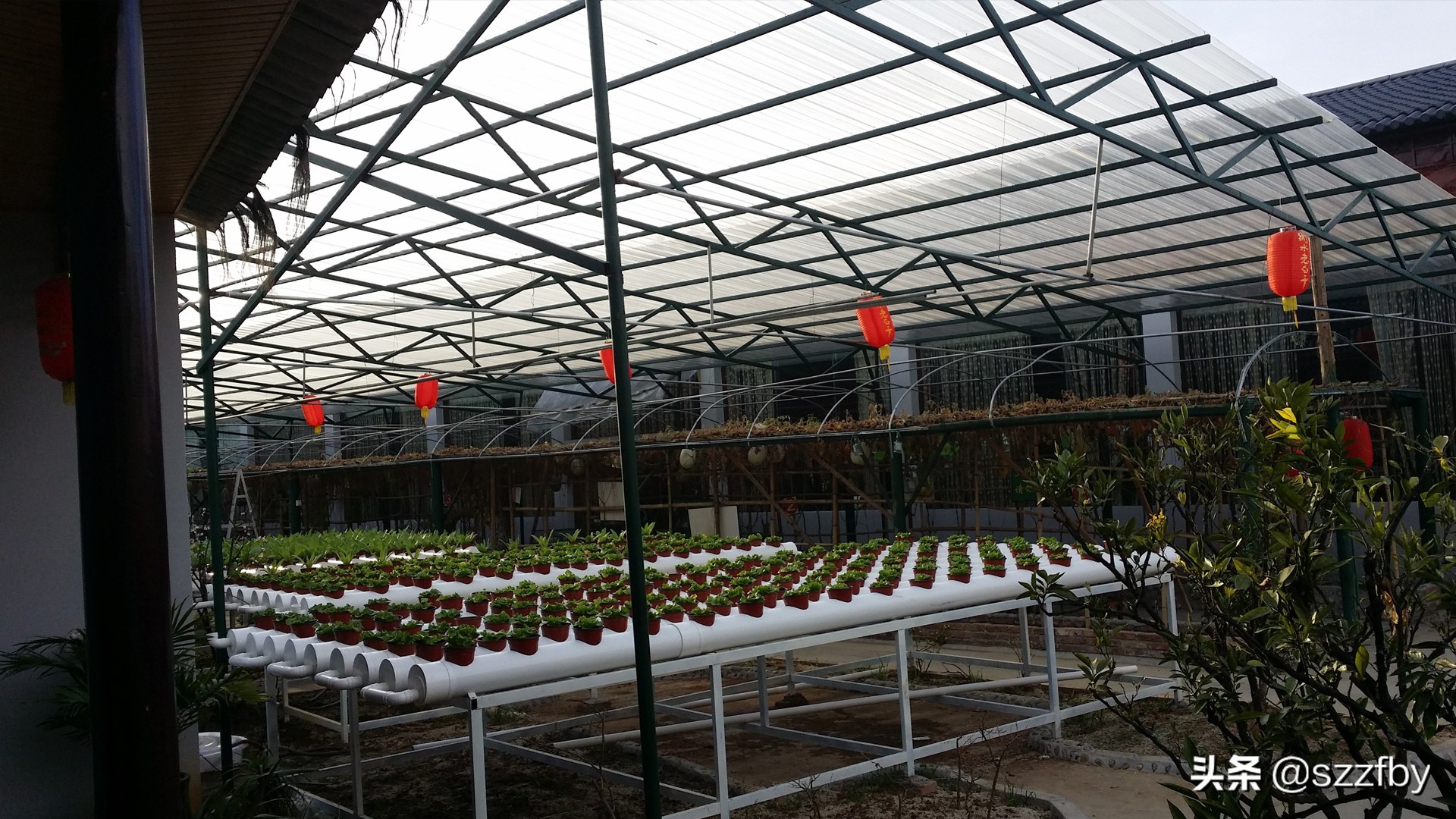 pc透明阳光瓦价格,全透明pc阳光板采光瓦