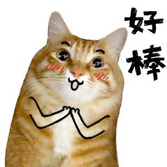 郑芸耳鸣彻底痊愈案例,华西医院郑芸谈脑鸣与耳鸣