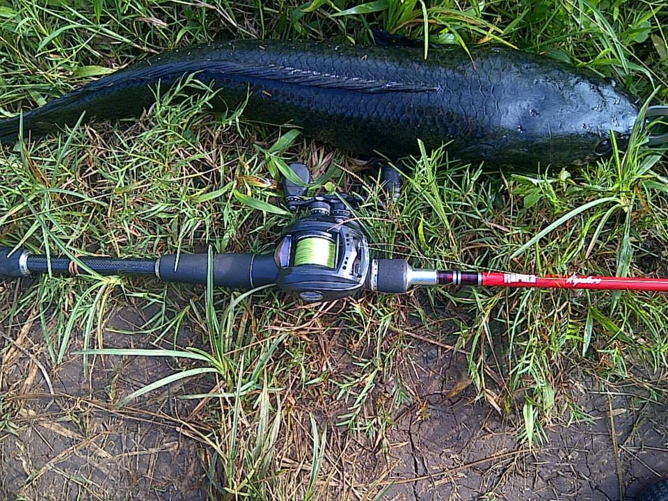 铁血战士打黑武士,铁血战士打特种兵