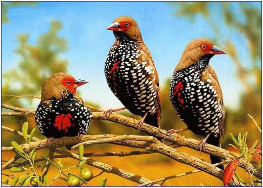 虫草山水画,四季花草山水画作品欣赏