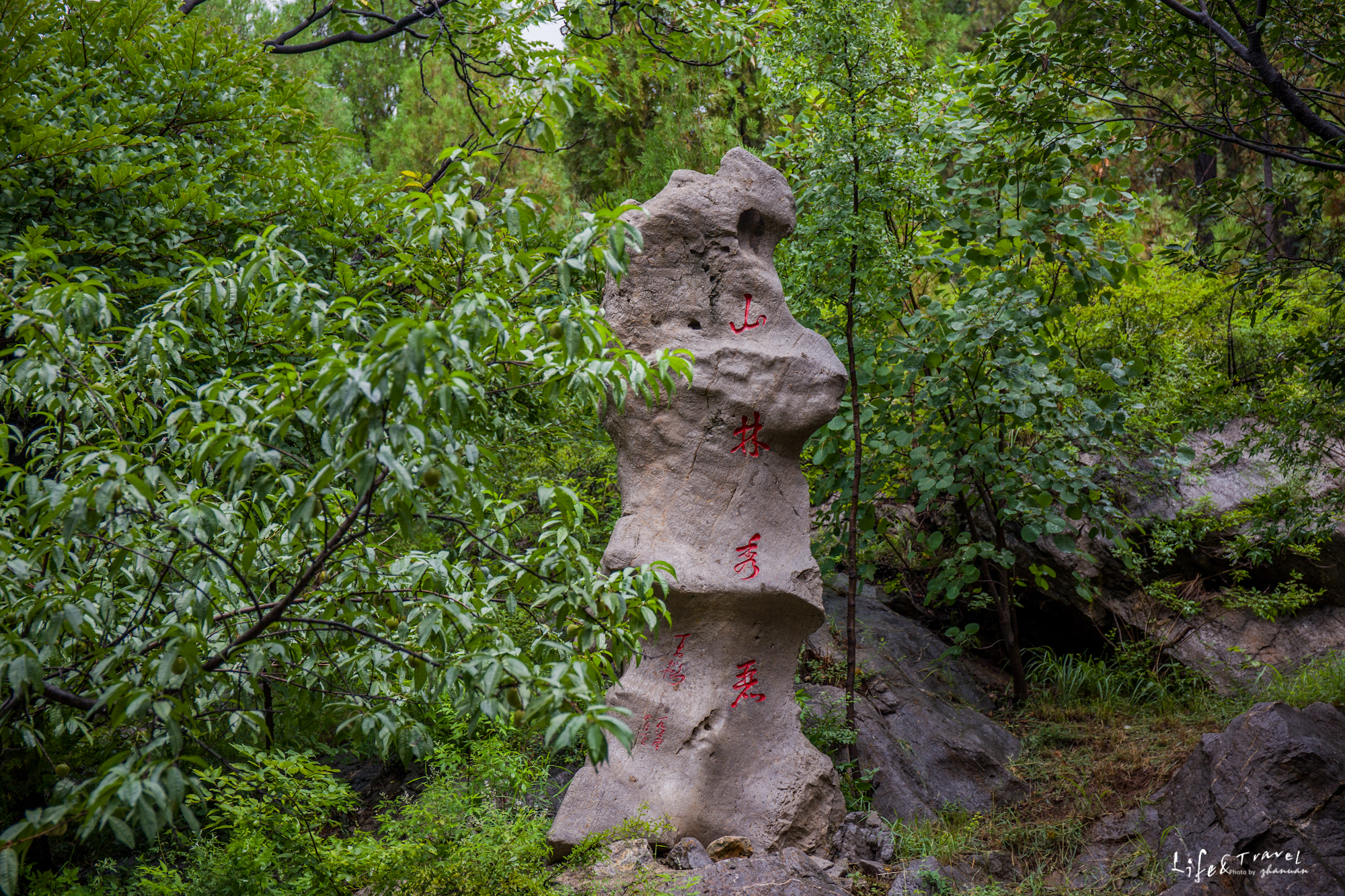 淄博看红叶的免费景点,淄博看红叶不用爬山的免费景区