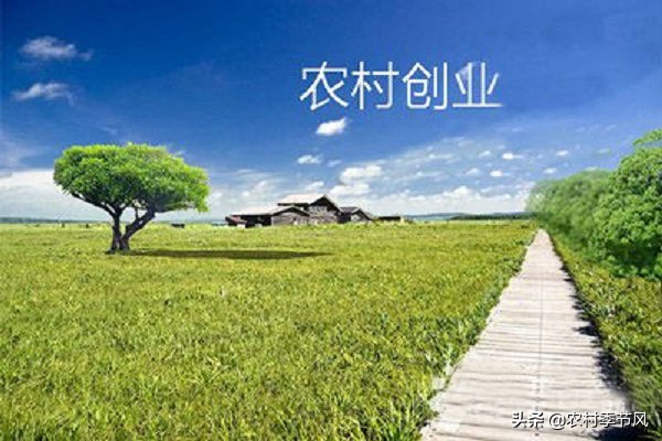 4种常见的农村创业项目诈骗，您必须了解，用这5招轻松应对！