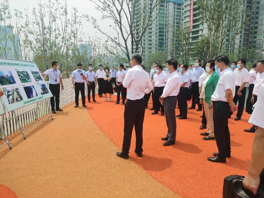 新区新建公园规划,主城区公园