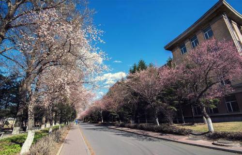 每天带你了解一所高校:中国汽车工业人才摇篮——吉林大学