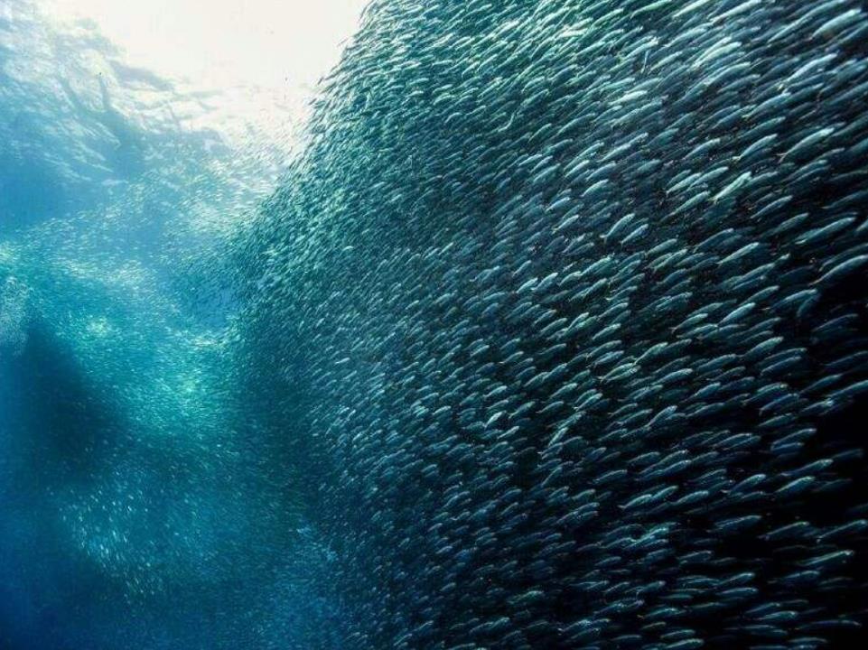 避免拥堵国庆旅游路线,假期省内游避堵攻略