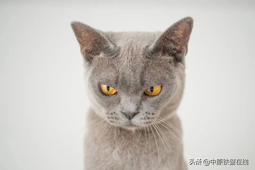 抑郁症会对身边的人发火吗,朋友感觉自己有抑郁症怎么开导