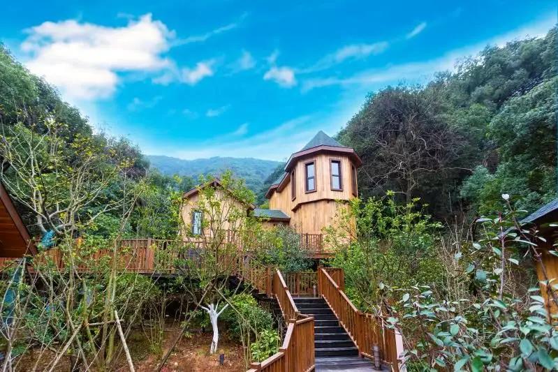 浪漫树屋、奇妙酒店、恒温水乐园...去江浙沪Top酒店跨个30℃的年