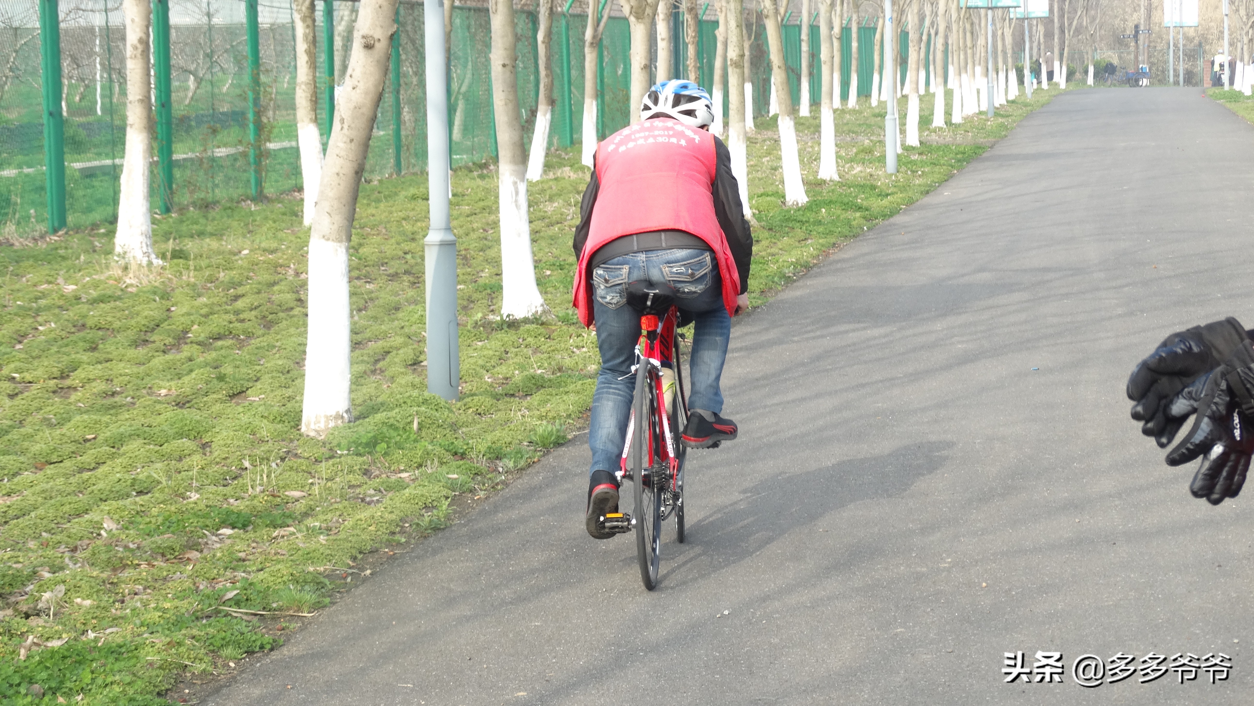 常州赏花的地方,常州附近5公里内公园免费景点