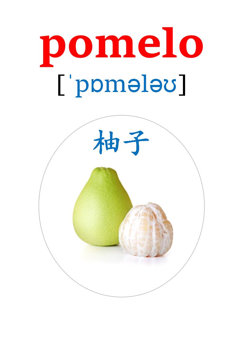 英语卡片20多种水果的英语单词,英语卡片水果种类