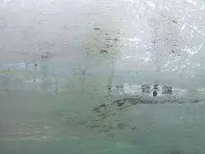 拍摄相机镜头起雾,冬天出去拍照怎么防止镜头起雾