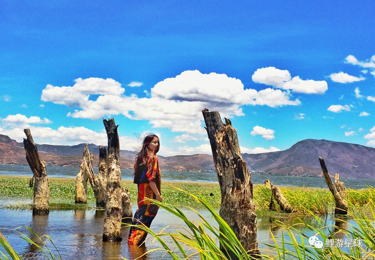 云南大理洱海网红景点打卡,云南大理好看的风景打卡处