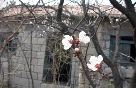 不负好时光酱香,不负好时光粤语歌曲