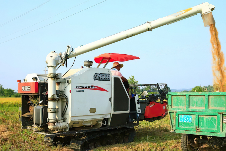 农村包地10亩每亩500元能赚钱吗,农村包地1000亩利润与开支