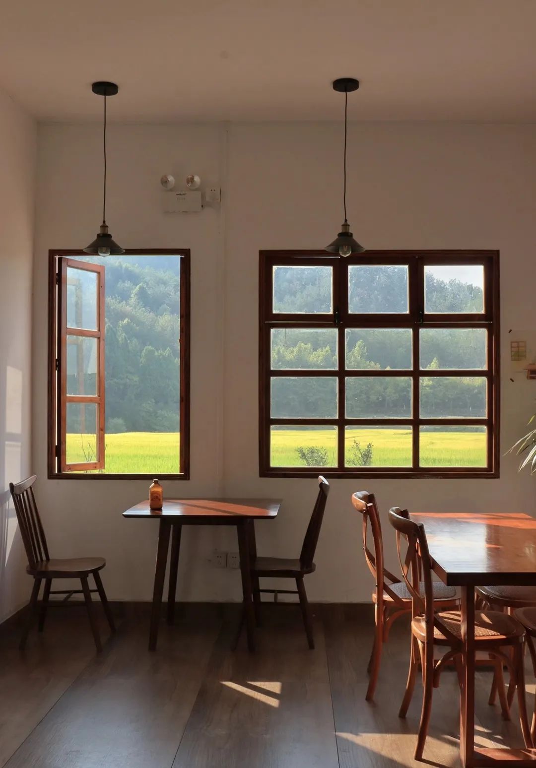 浙江江湖美食,浙江特色美食这几道你可都吃过