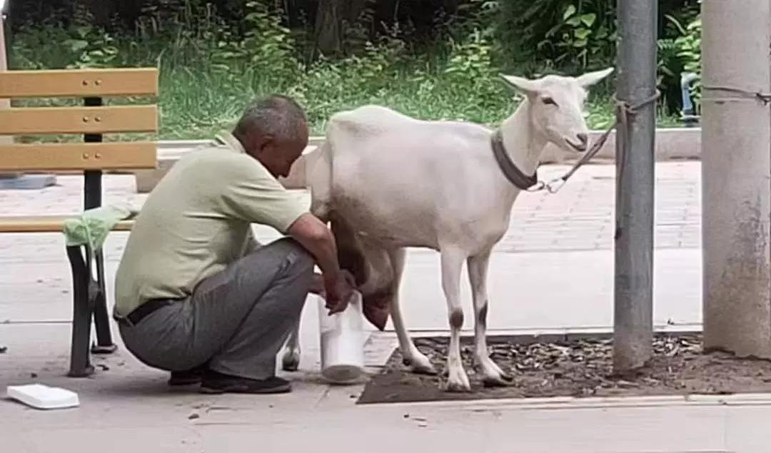 褰撹鐗电緤缇ょ幇鍦烘尋缇婂ザ,琛楄竟灞辩緤鐜版尋缇婂ザ