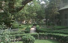 明星一般去的哪些医院,中国最好的医生在哪里