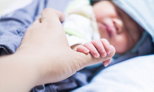 康萃乐和lifespace益生菌哪个好,康萃乐益生菌品牌怎么样