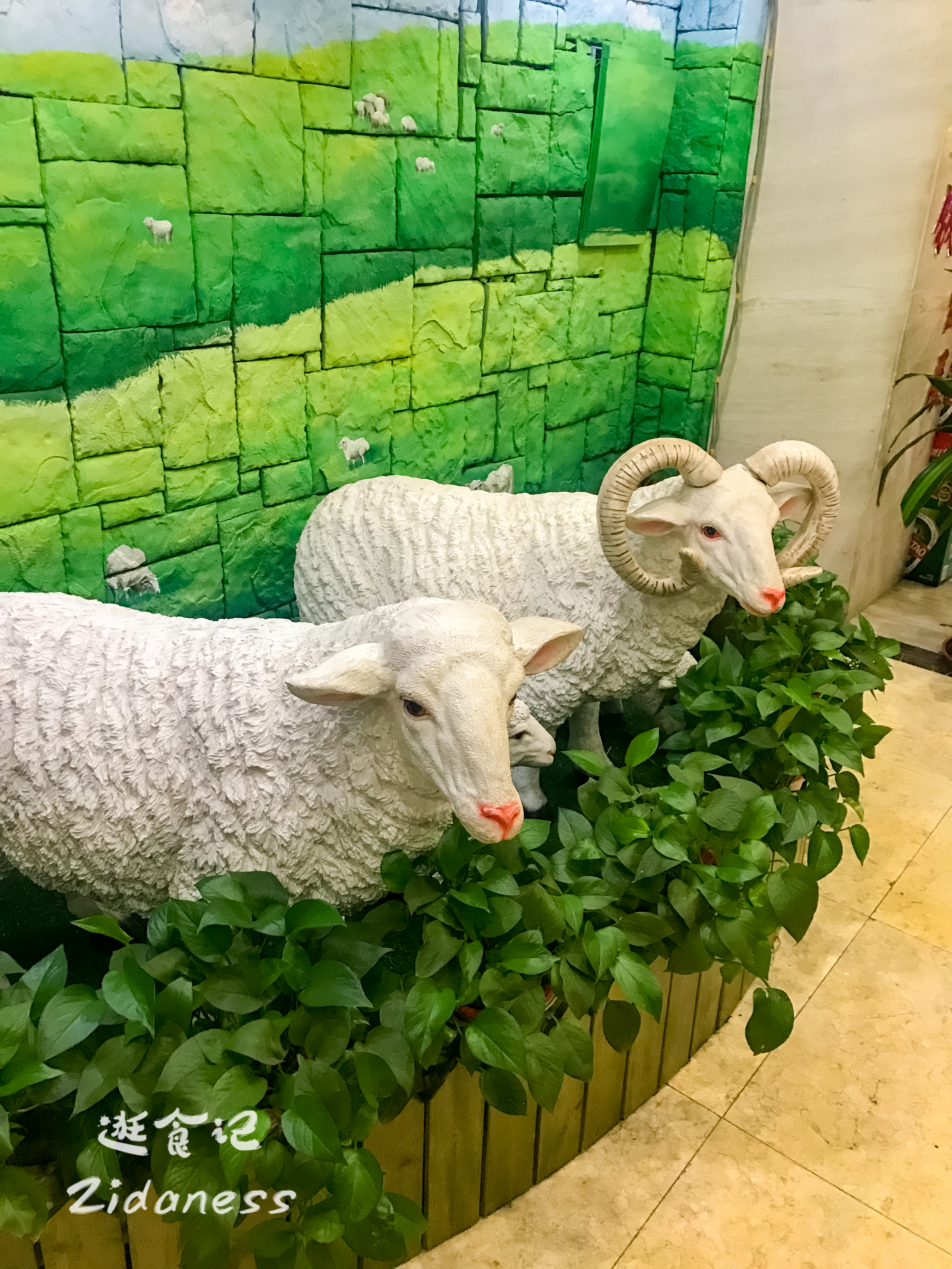 每到这个季节就特别想念一个城市,哈尔滨313羊庄羊肉汤配方