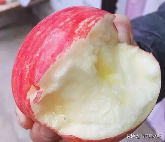 陕西富士苹果分哪几种,富士苹果为什么那么贵