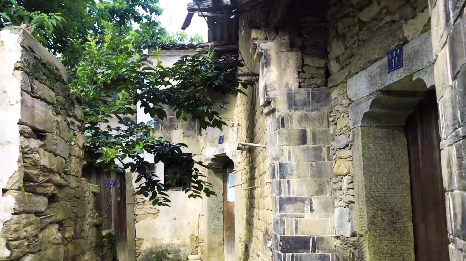 武汉周边最美古村一日游,旅游武汉这里藏着一座秘境森林