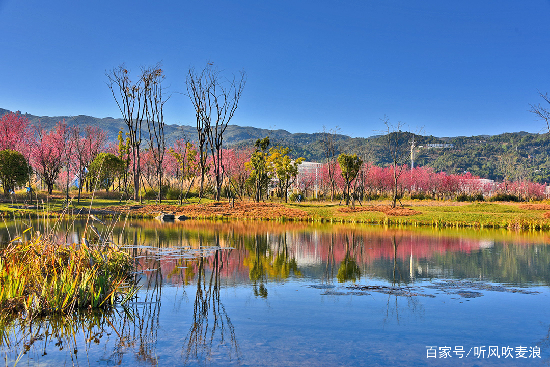 昌宁冬雾,昌宁雪花