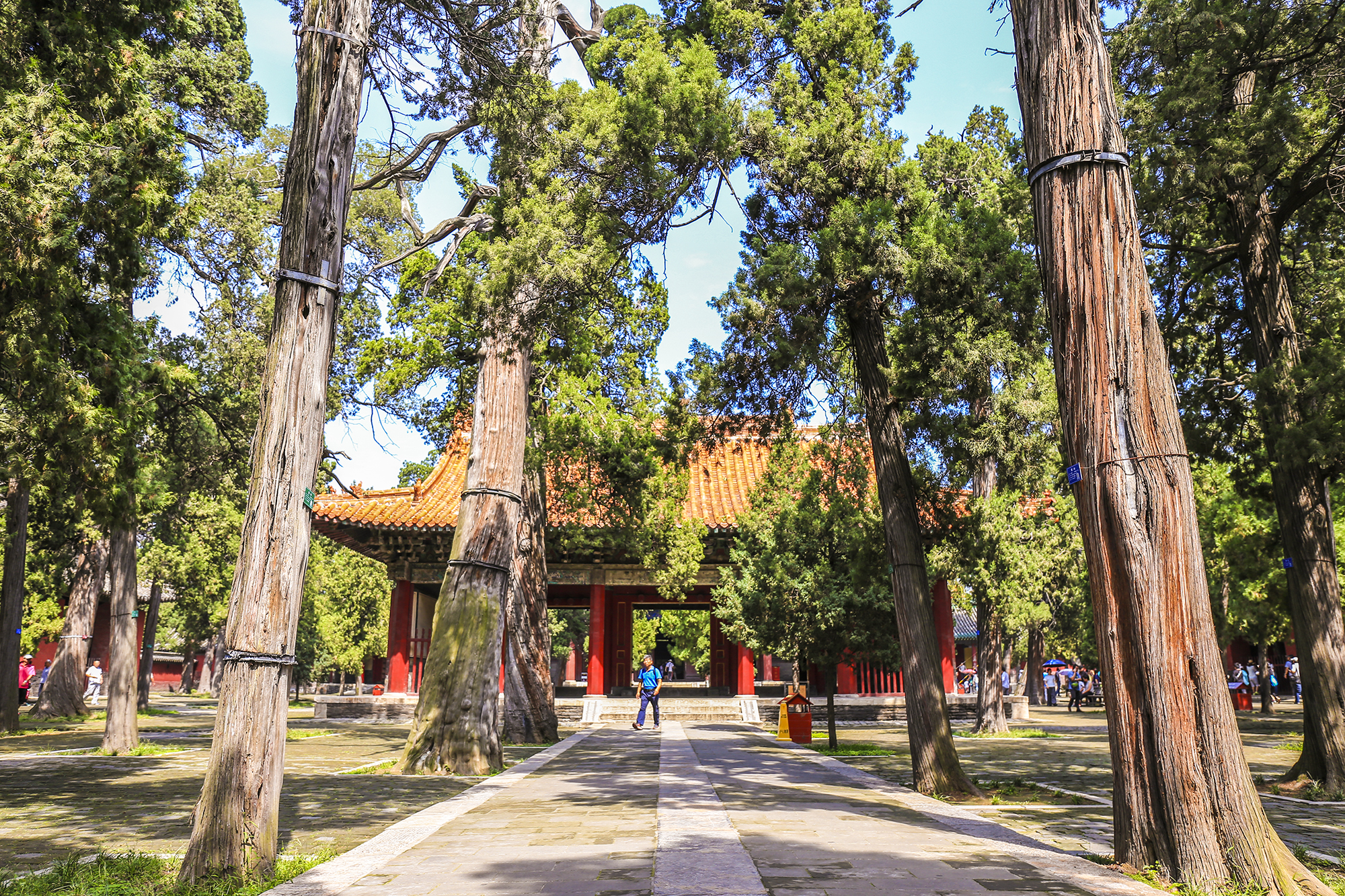 曲阜一日游最佳攻略酒店,畅游齐鲁乐宿济宁