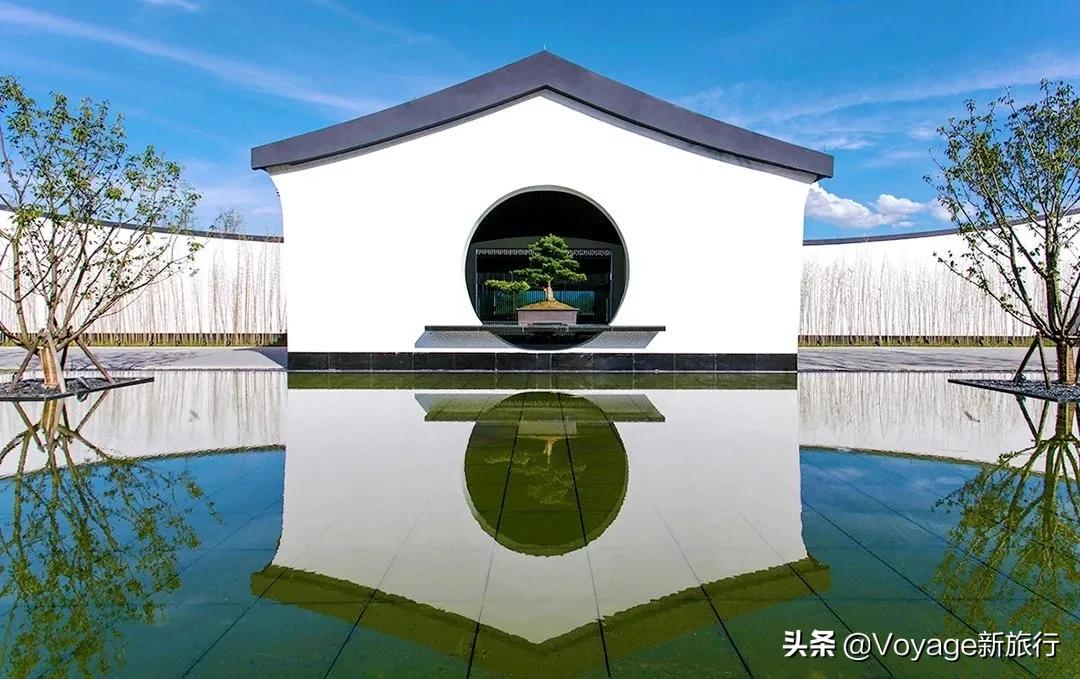 旅行民宿春天赏花,花海度假胜地