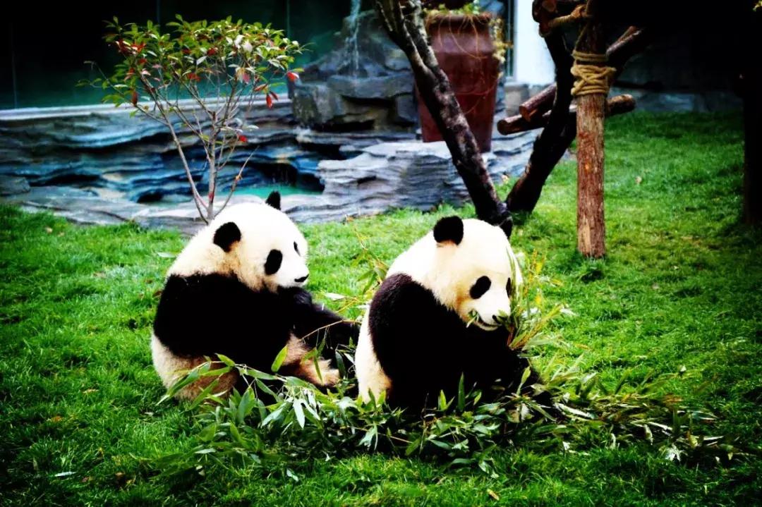 双十一过后，血槽已空，自我疗愈秘籍奉上！赶快接招！