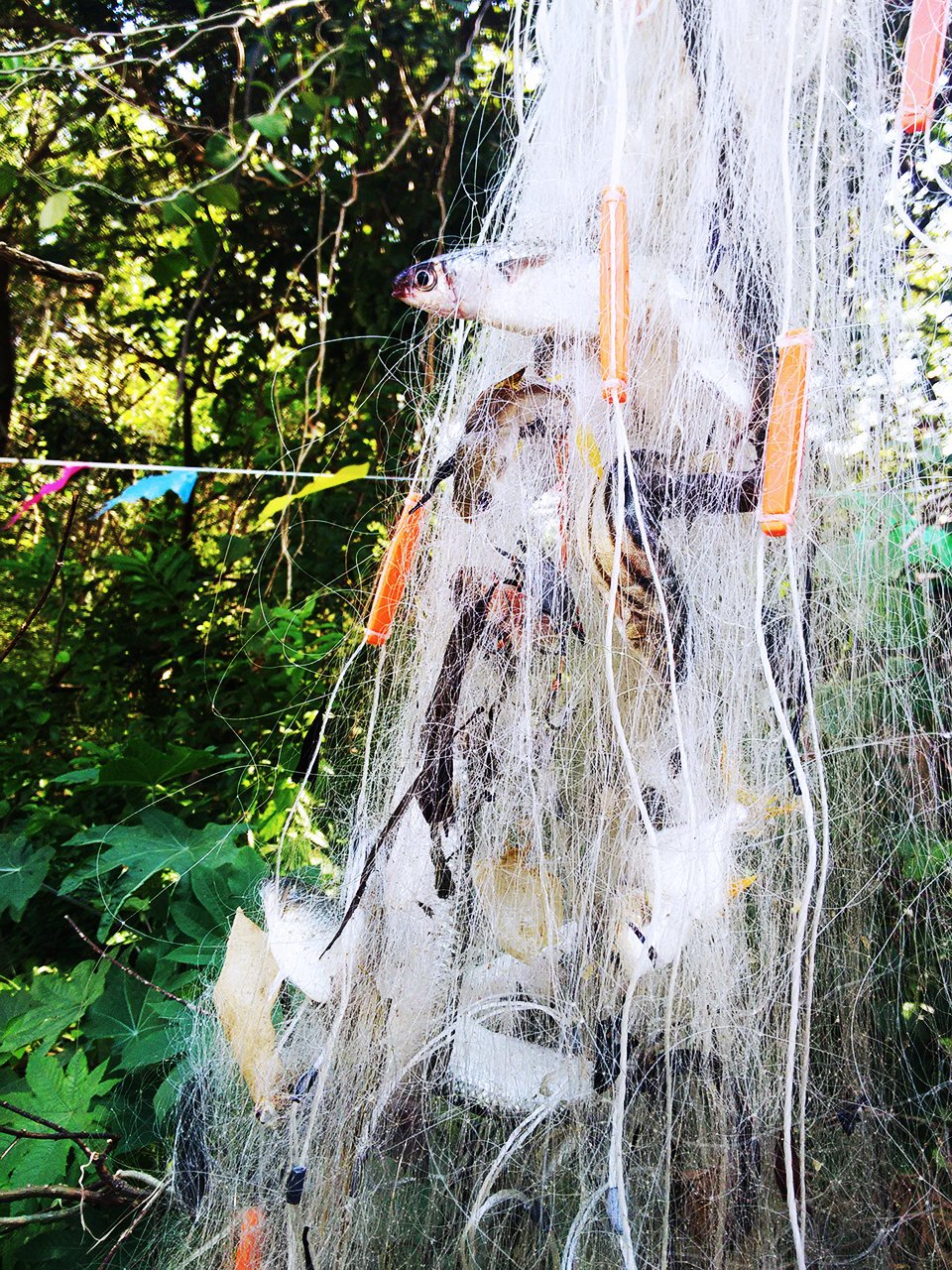 广东十大海滩旅游景区排名,汕尾自驾游十大免费海滩景点推荐