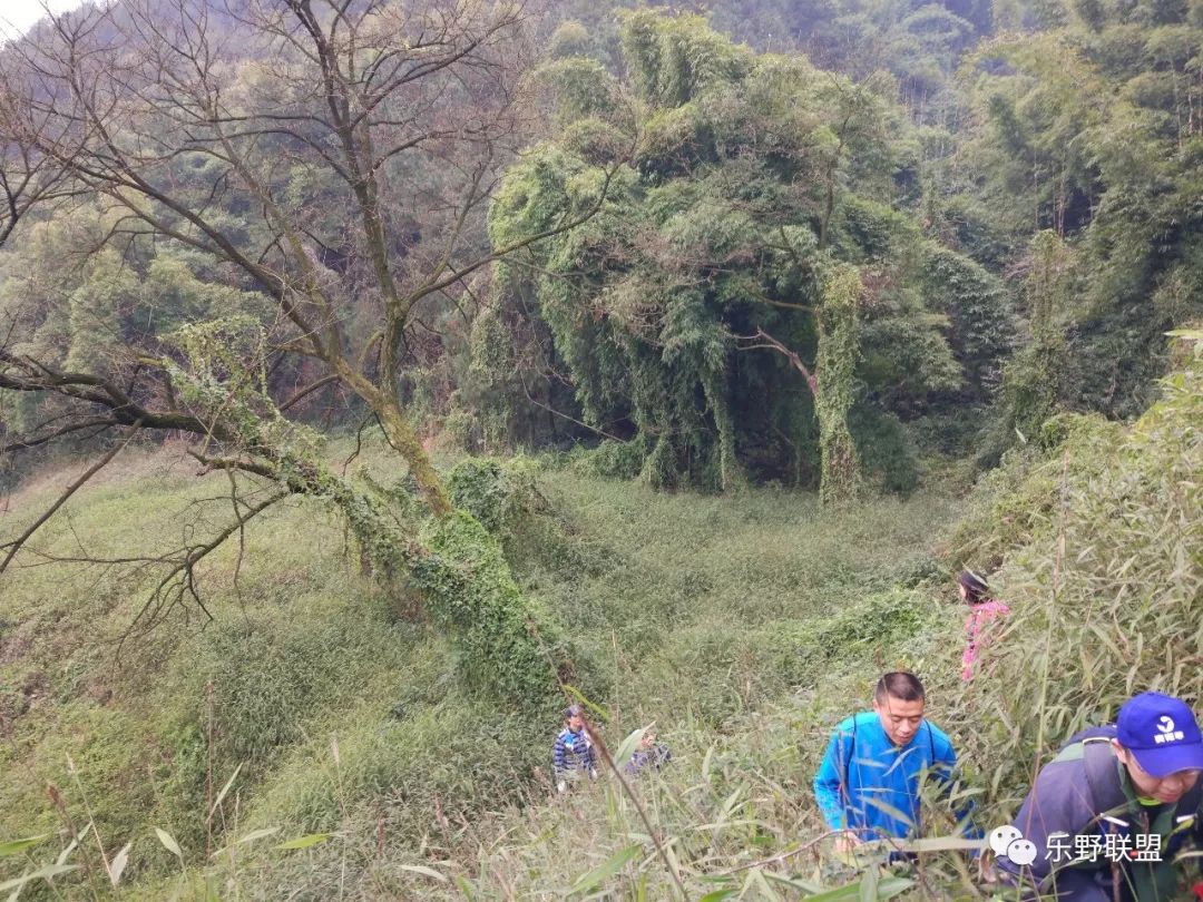 「乐野求生课」6月22重庆游龙山徒步越野报名