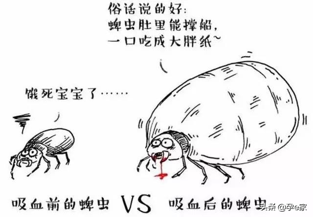 身上出现许多小黑痣,身上出现凸起黑痣一定要重视